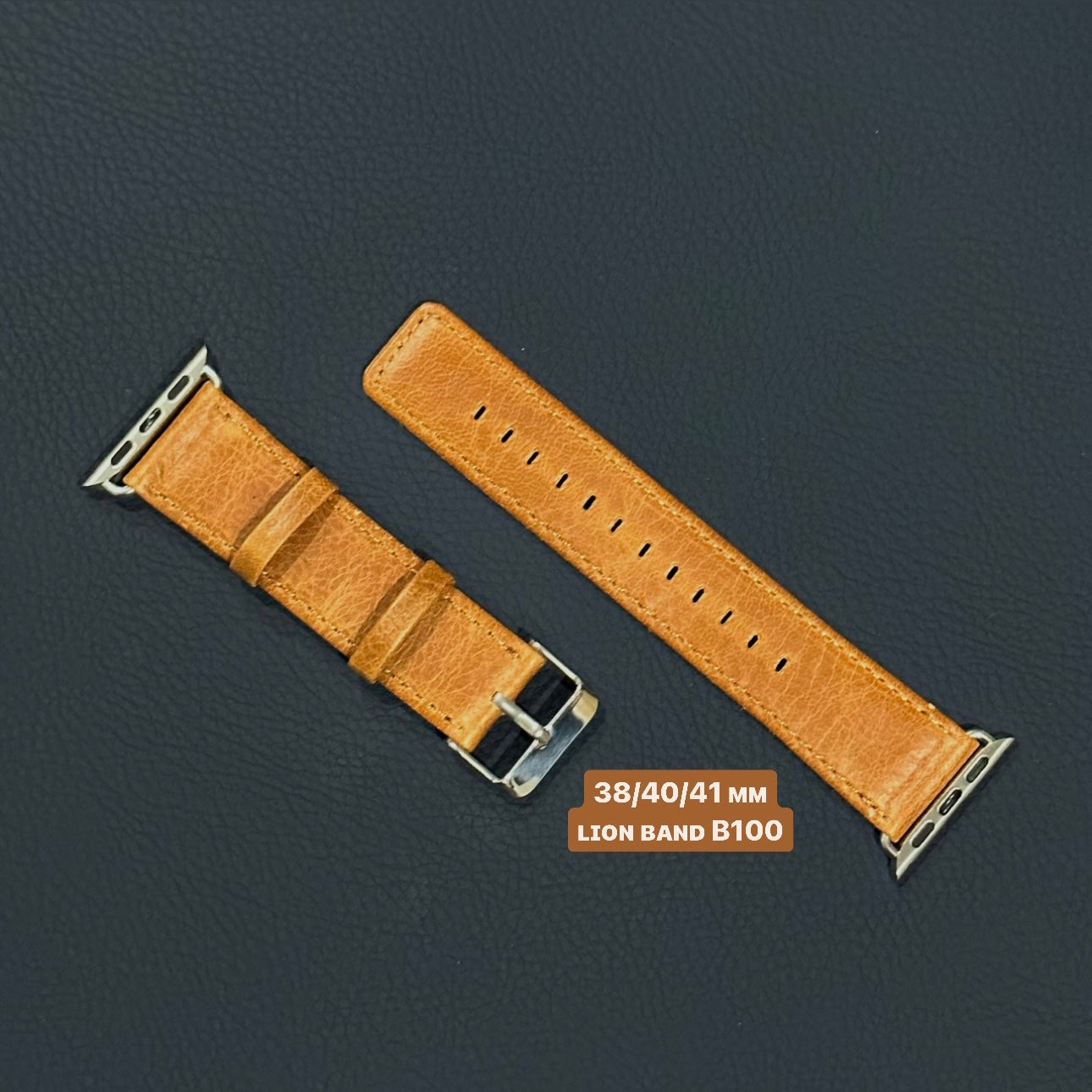 B100 - Apple Watch