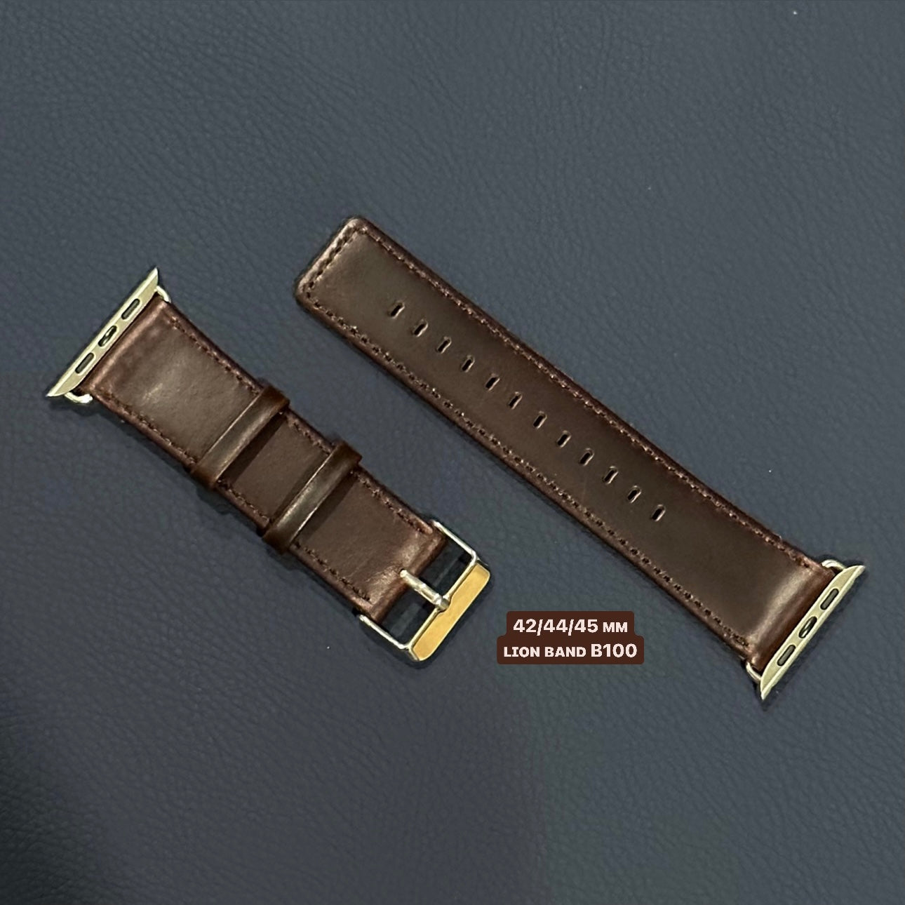 B100 - Apple Watch
