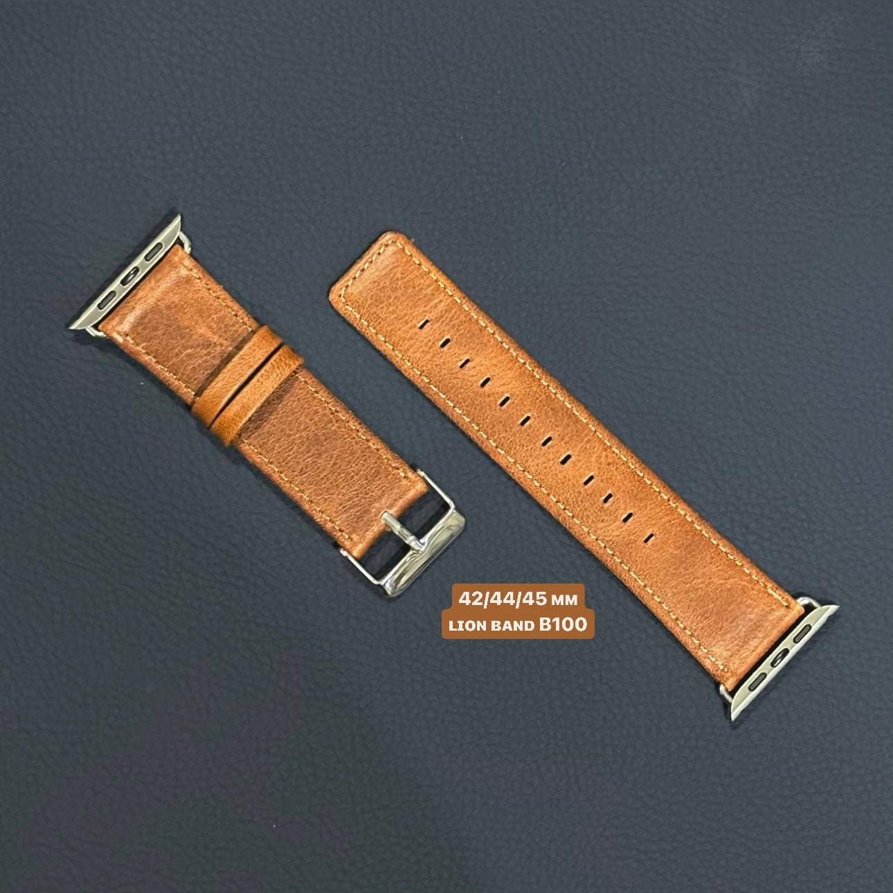 B100 - Apple Watch