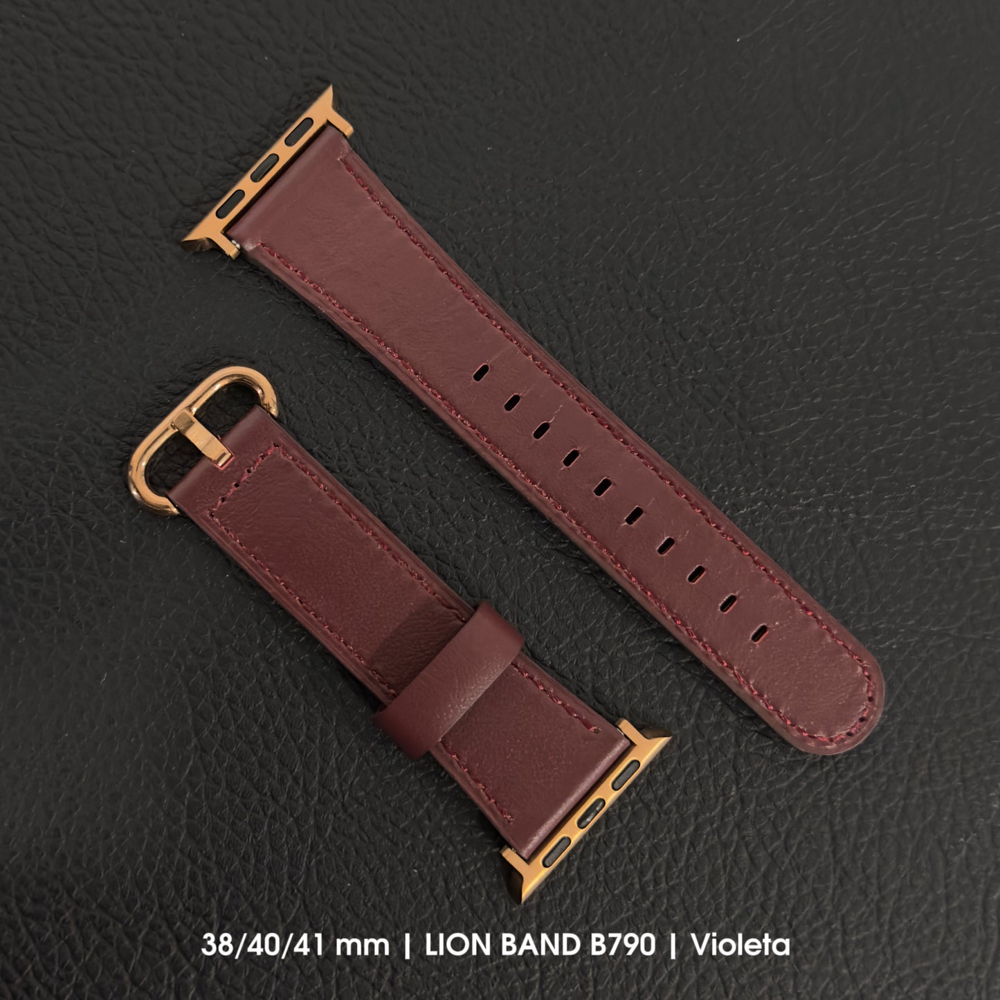 B790 - Apple Watch