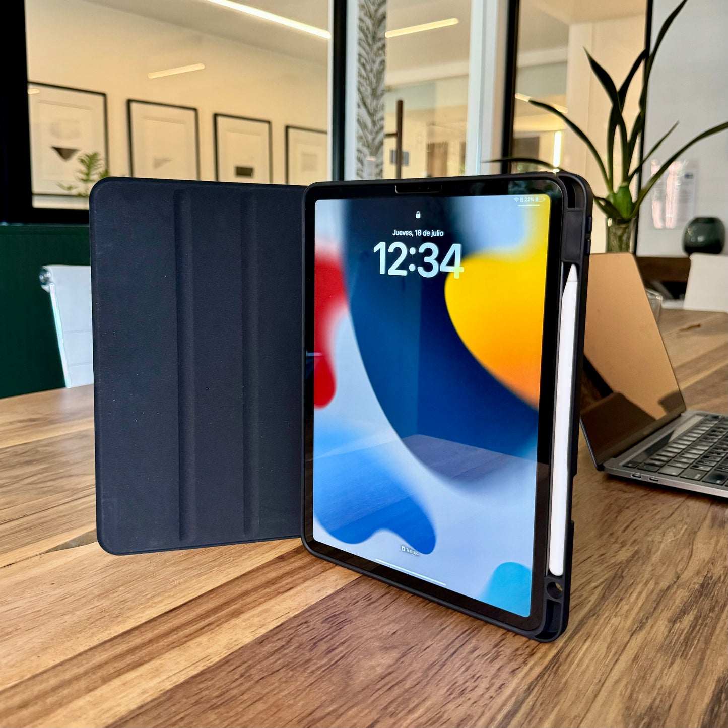 C350 - iPad
