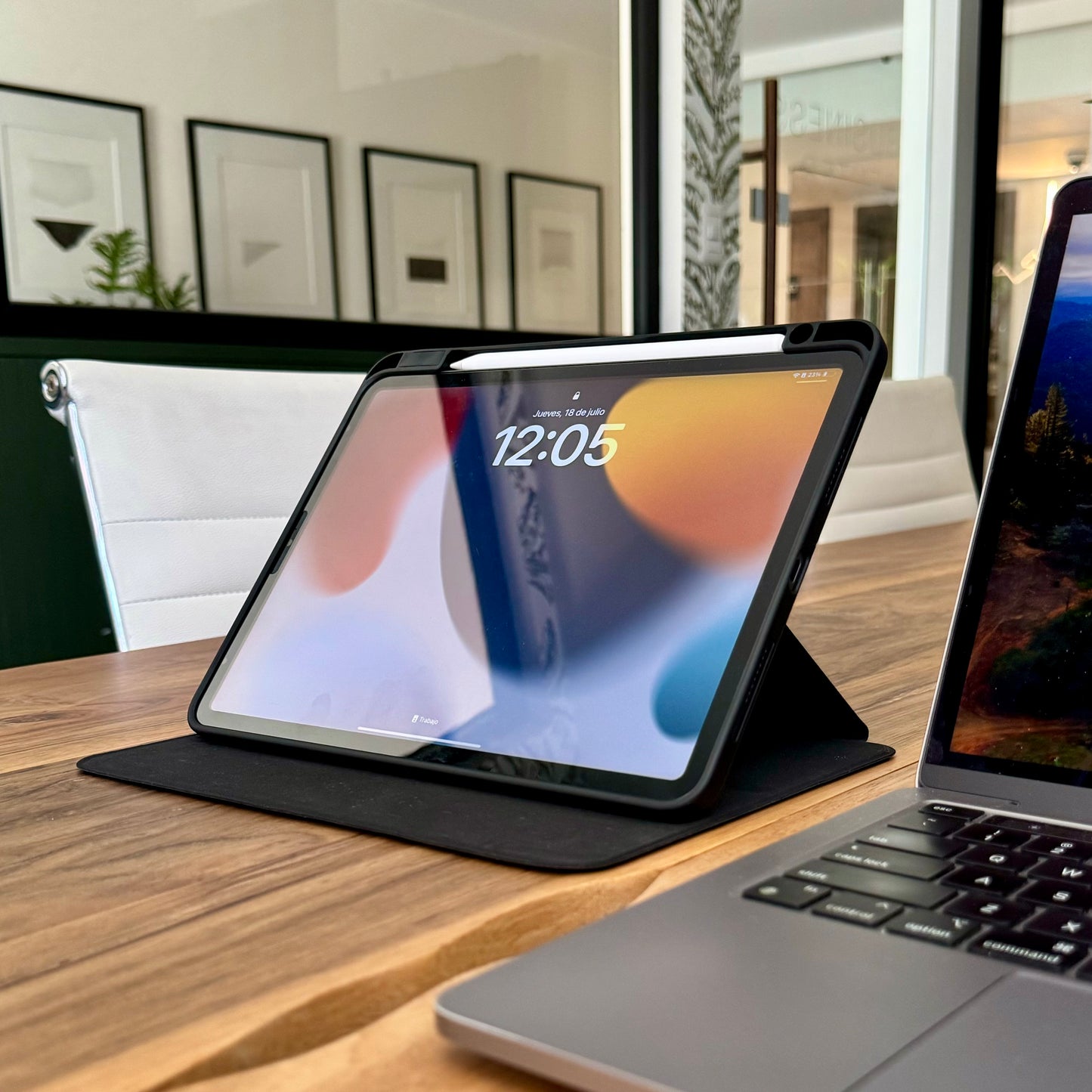 C350 - iPad